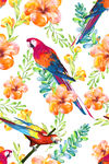 时尚清新水彩花卉鹦鹉组合图案