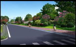 道路绿化