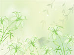 梦幻花