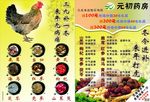 冬季鸡药