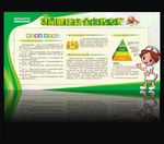 食品安全宣传栏