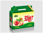 草莓箱平面图