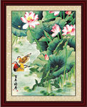 百年好荷 国画荷花