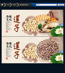莲子 水墨中国风