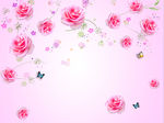 玫瑰花