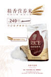 精细胚芽米营养米大米