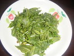 香椿