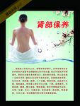 肾部保养