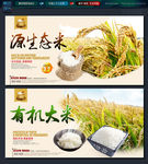 大米