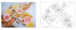 花树