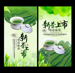 新茶上市