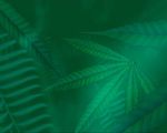 树叶动态素材