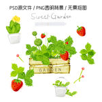 手绘草莓绿叶花盆