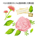 手绘花朵牡丹绿叶