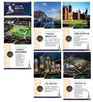习大大访问友国