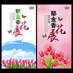 郁金香节