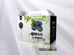 蓝莓包装（平面图）