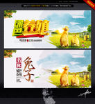 兔子养殖 兔肉