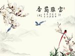 国画玉兰花