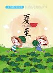 夏至二十四节气