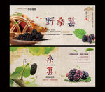 桑葚海报