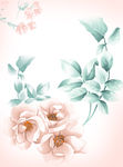 花朵
