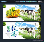 羊 牛 绿色养殖