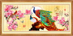 孔雀图