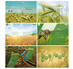 高档农业产品宣传画册