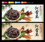 何首乌