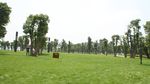 重庆城市公园绿化高清镜头