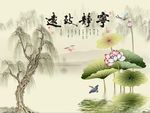 宁静致远荷花