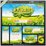 油菜花