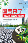 熊猫展海报