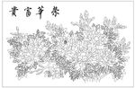 荣华富贵