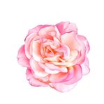 水彩花（内含高清分层图）