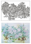 牡丹花