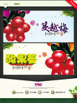 蔓越莓 酸果蔓
