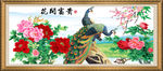 花开富贵