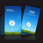 文化传播公司名片