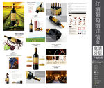 红酒葡萄酒详情页