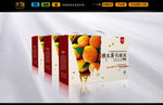 黄桃罐头礼品包装（平面图）