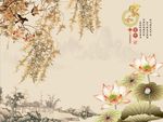 家和富贵荷花
