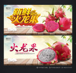 火龙果