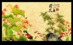 国画荷花