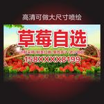 草莓海报