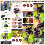 大气紫葡萄详情页模板