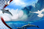 白鸽海浪海豚PSD高清3D素材