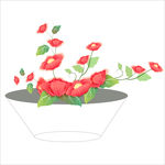 盘景花