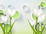 3D梦幻花